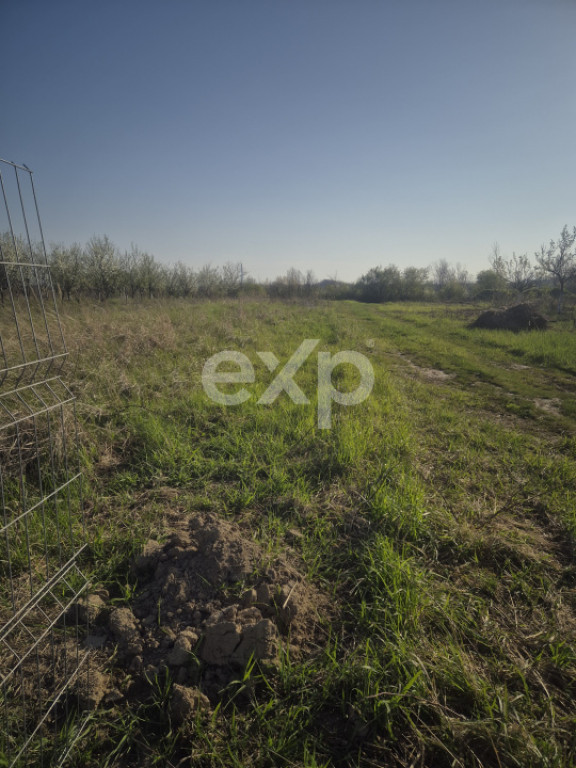 De vanzare teren la munte , in Rucar , zona Iezer Papusa, Ar