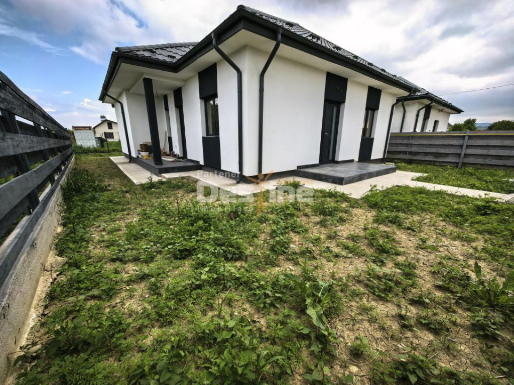 Casă individuală 3 camere 2 bai 313 mp teren Lunca Cetațu