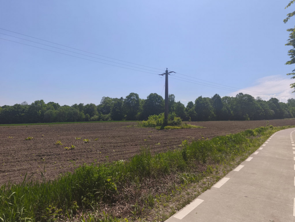 Teren 6300mp, 200ml deschidere la drum, Galanesti, Radauti