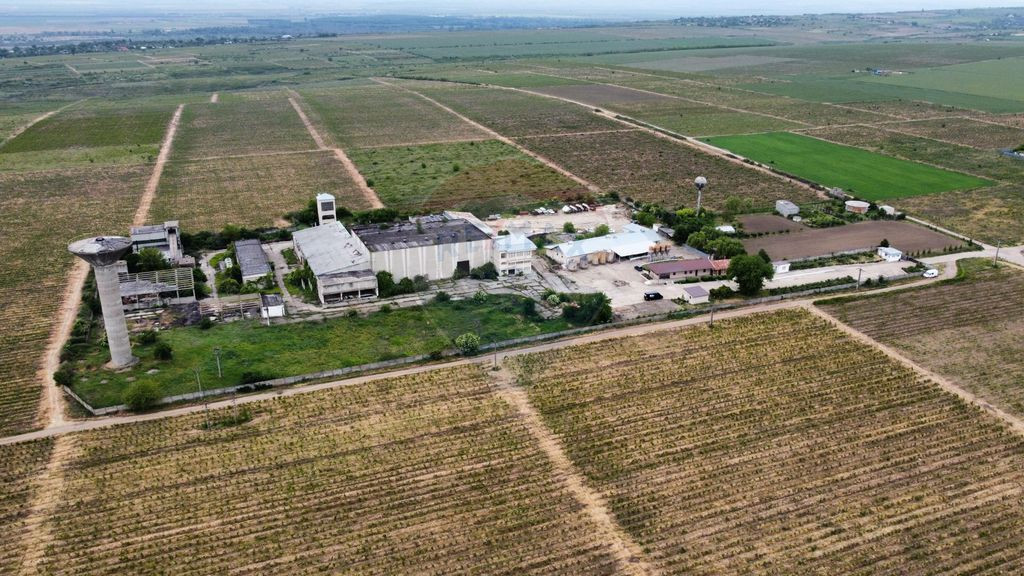 Spațiu industrial vinificatie Dobrinesti