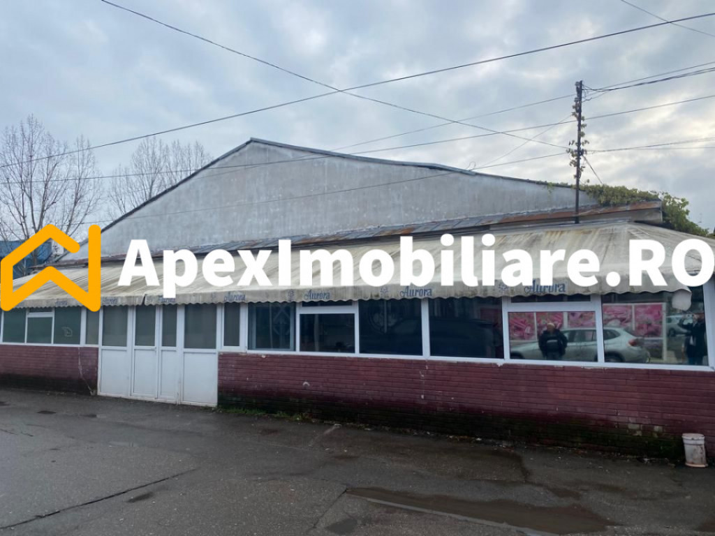 Hale Industriale de Vânzare Baicoi – 1100 mp + 800 mp, te