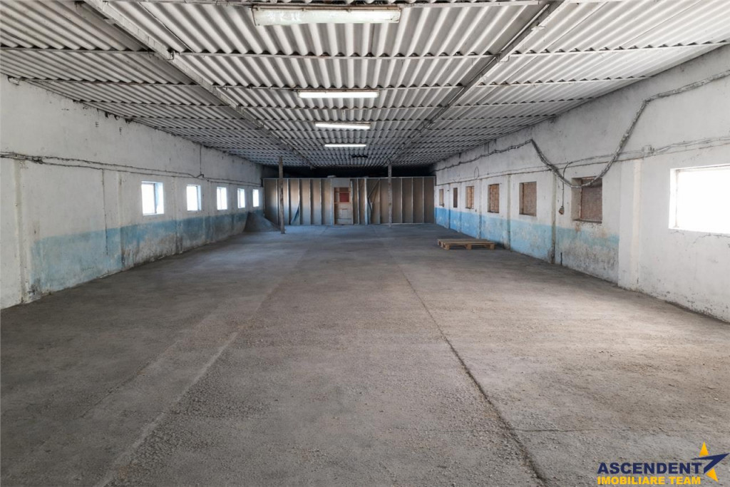 Hala versatila,spatii cazare, platforma betonata,1.150 mp te