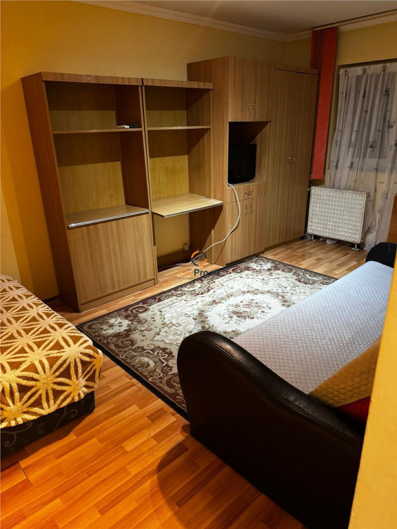 Garsoniera cu Baie si Bucatarie din Constructie / Zona Sagul