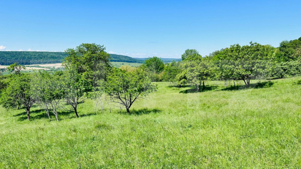 Teren 4879 mp, langa padure, zona Dobrovat