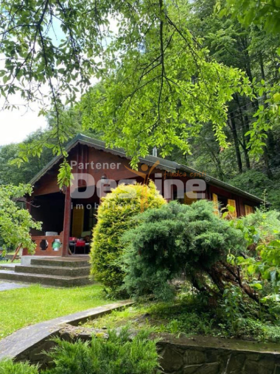 Casa parter+mansarda si teren in Lipovat, Vaslui