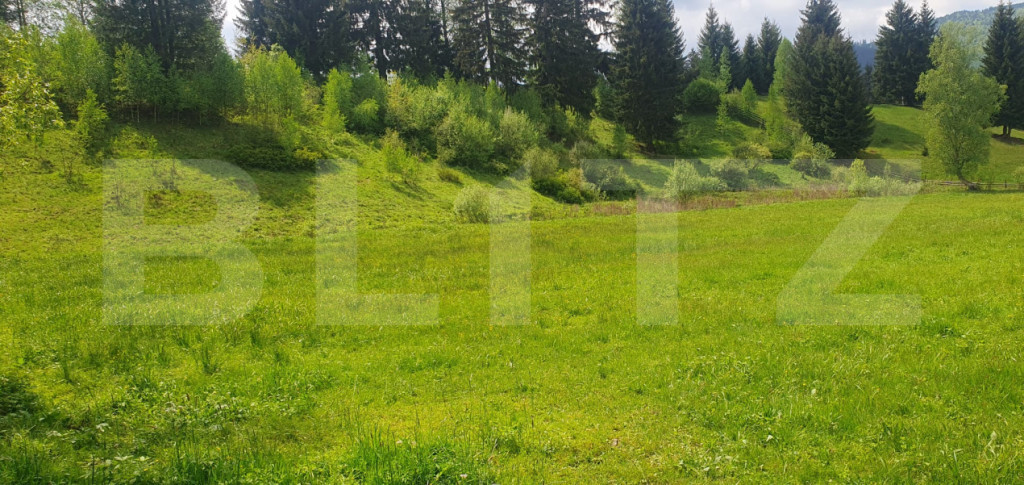 Teren intravilan, 2411 mp, zona Saru Dornei - Vatra Dornei