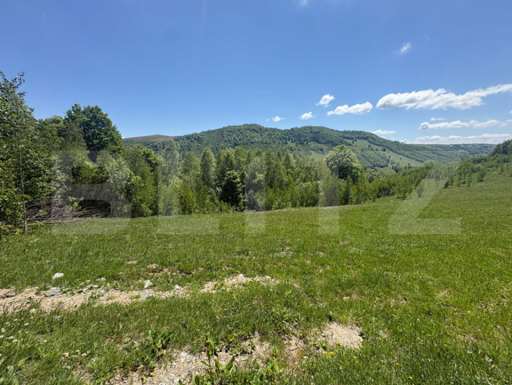 Teren Construibil - Muntele Baisorii , 1000mp