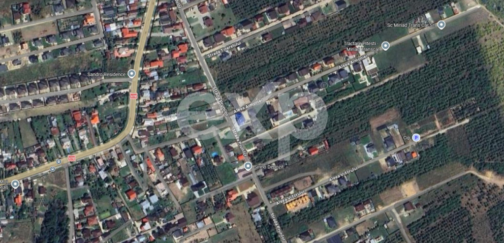 Teren 1.500 mp de vânzare în Trivale Platou – Strada Pru