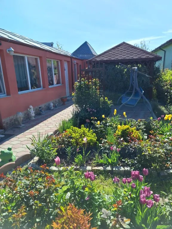 Vând Casă comuna Smardan