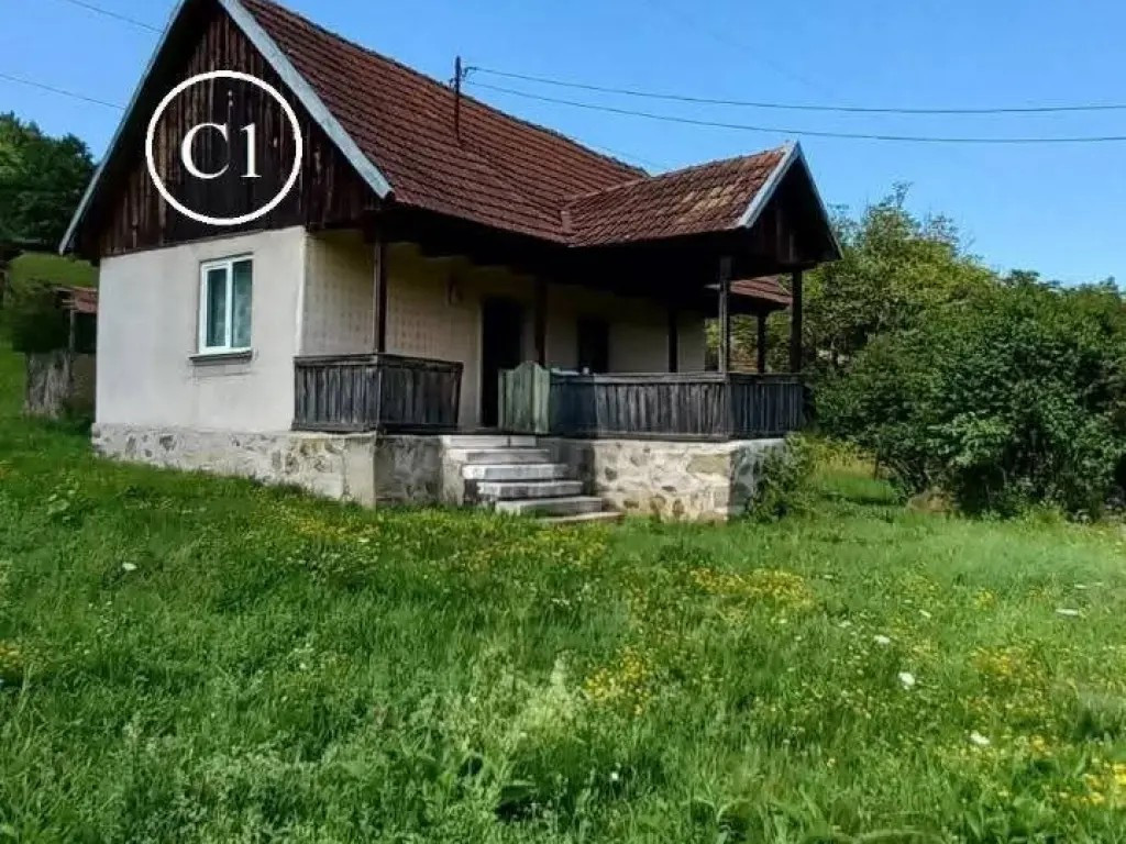 Vând Proprietate la Valea Bradului,