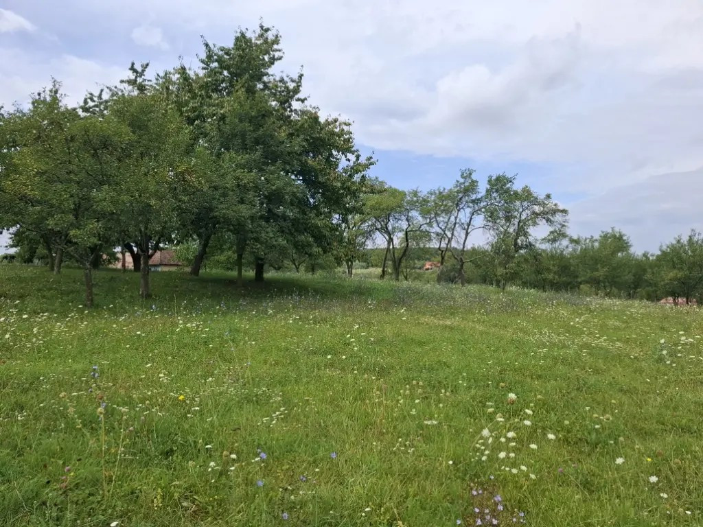 Vand Teren la poalele padurii - ideal casa de vacanta 3.300 mp