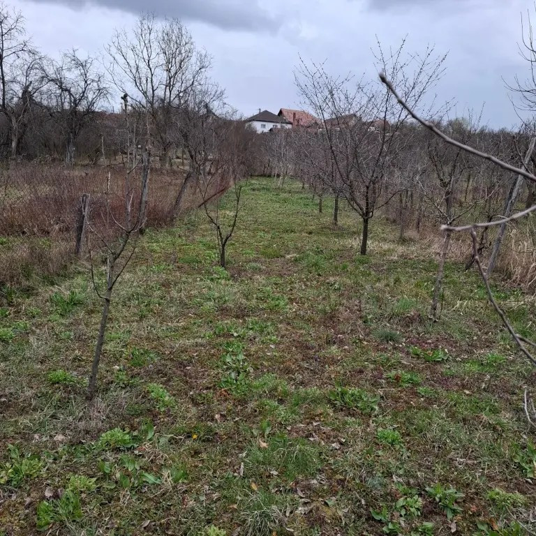 Casa de vanzare, 3 camere, 80 mp - zona linistita langa padu