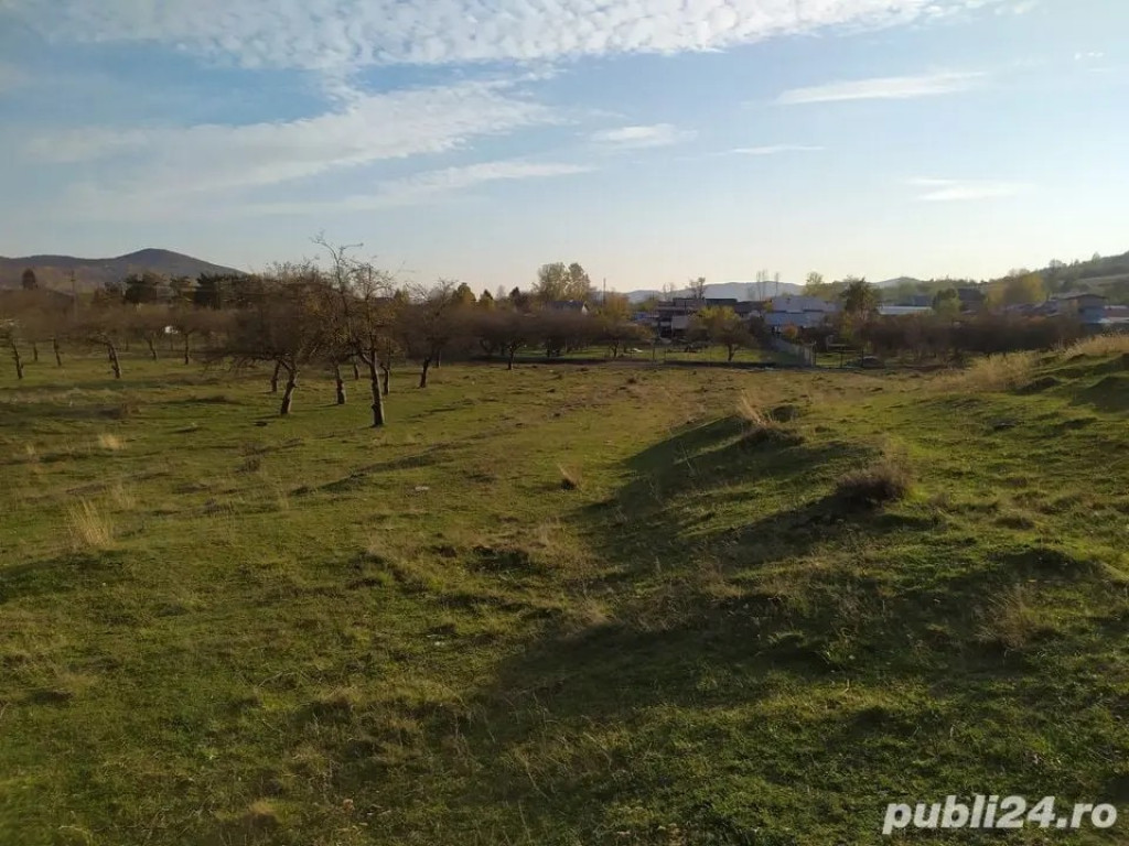 Proprietar Teren intravilan Campina 2490mp - Prahova (negociabil)