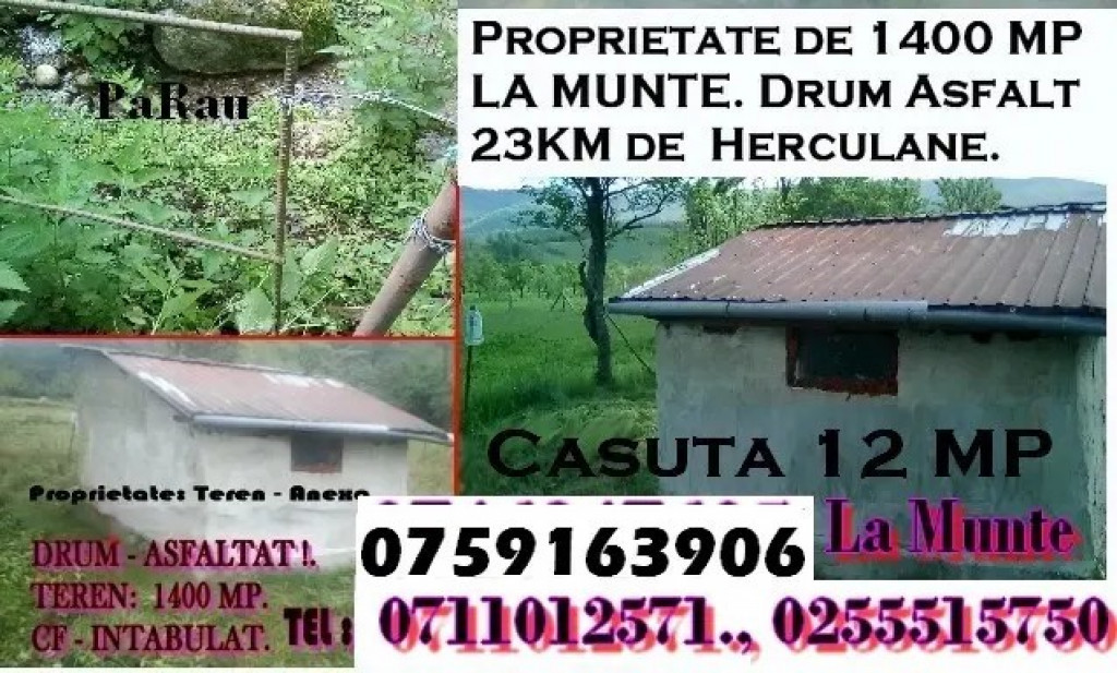 La munte Teren de 1400 MP.Cabana 11 MP