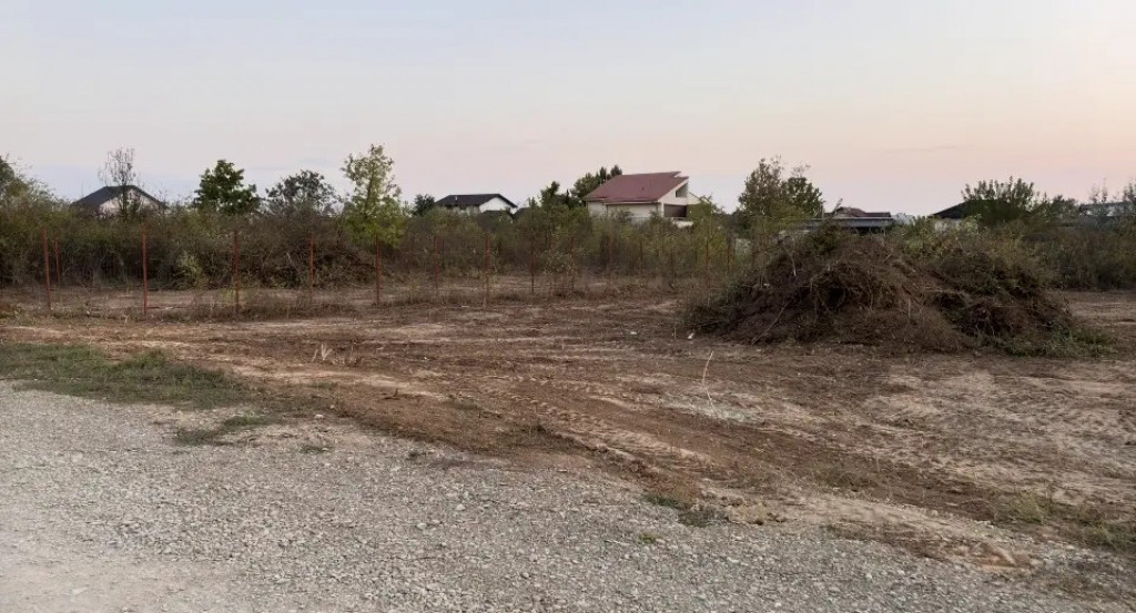 Teren 892 MP SITUAT IN MOGOSOAIA ILFOV