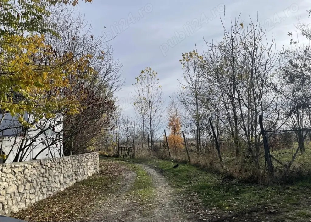 Teren intravilan 431mp