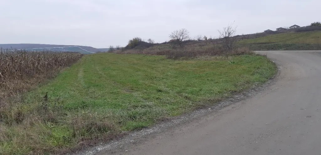 Casa din lemn cu ieșire direct pe Transalpina / Sugag, Alba.