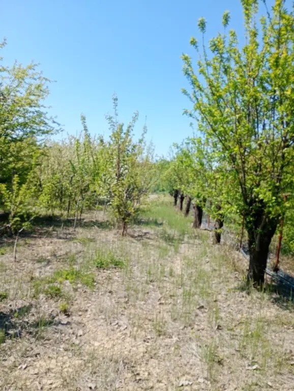 Teren extravilan 9000 mp Olari Fanari Prahova
