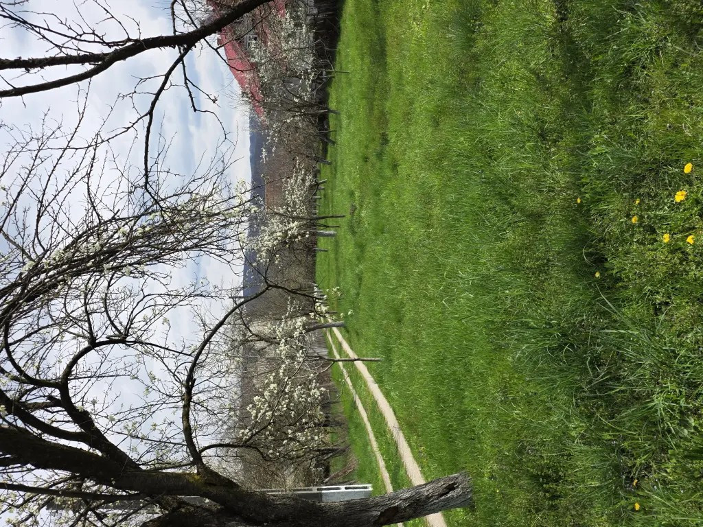 Teren intravilan, 1048mp persoana fizica