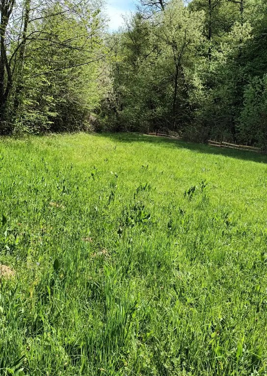 Vând Teren Extravilan în Gladna Montană 2964mp