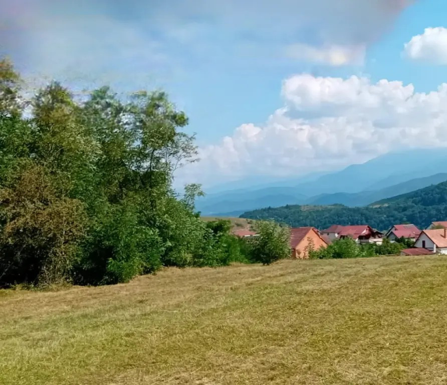 Teren intravilan de vânzare în Tălmaciu