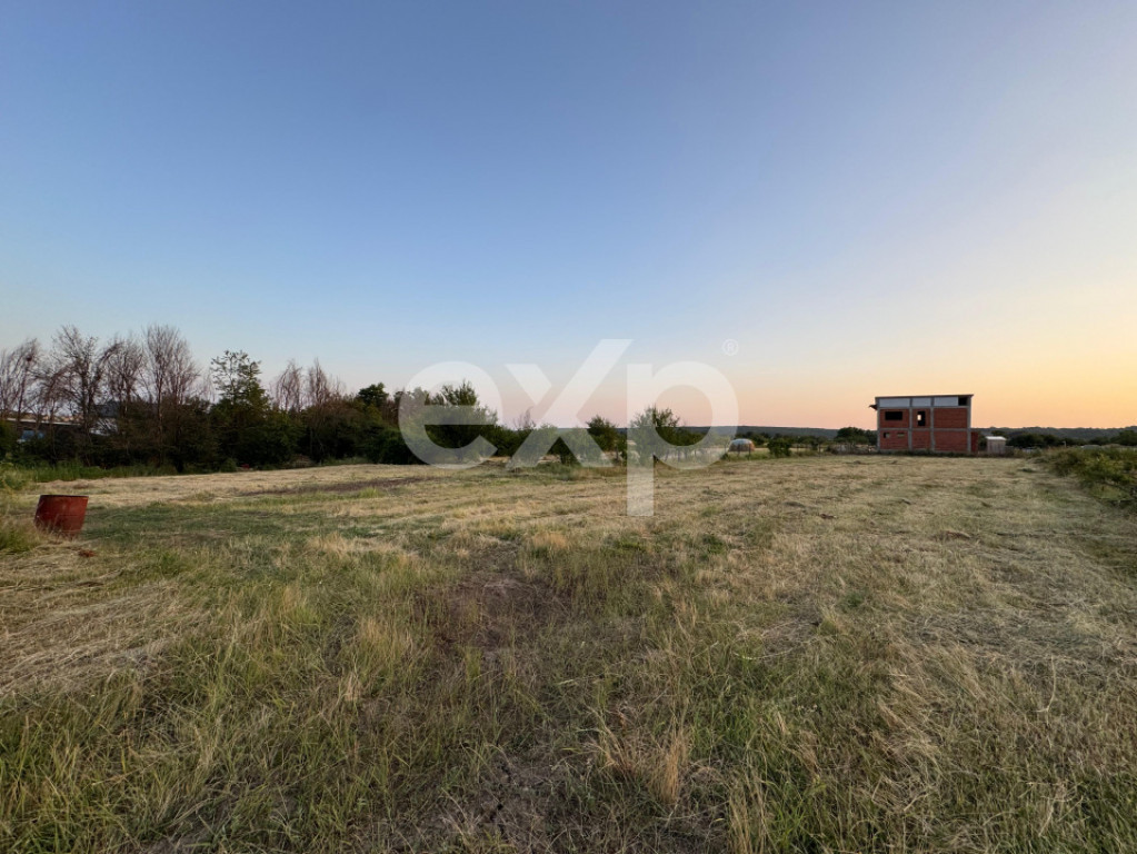 Teren 1650 mp intravilan Trivale - Olteni – cadru natural