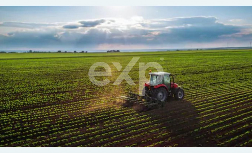 Teren agricol extravilan de vânzare – 22.960 mp – Măre