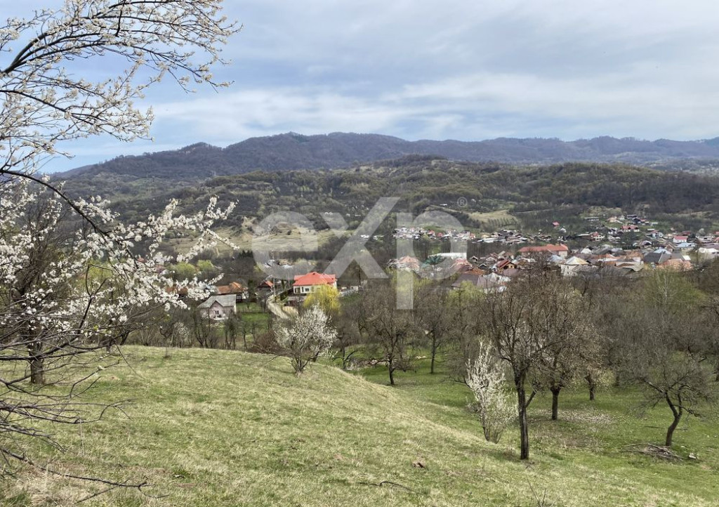 Domeniu privat 6 hectare lac păstrăvărie | Vilă 6 dormitoare Corbi