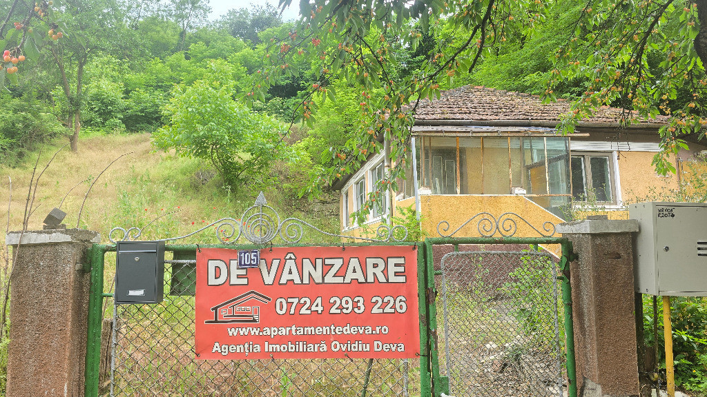 Vand casa in Deva pe un singur nivel, zona Aurel Vlaicu, 922 mp