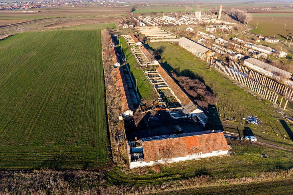 Teren 1.15 HA lângă Autostrada – Nădlac | clădiri+u...