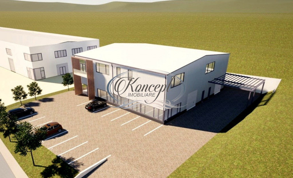 Teren industrial cu autorizatie hala, Valea Chintaului