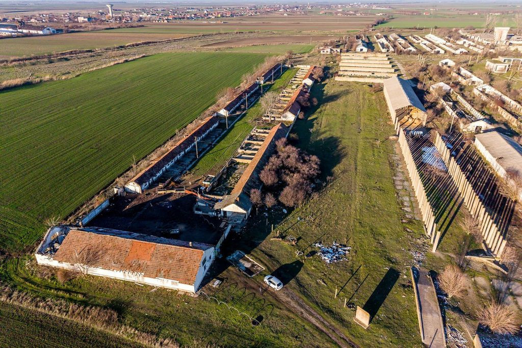 NĂDLAC | Teren 1.15 HA lângă Autostradă | 2.500mp Hale