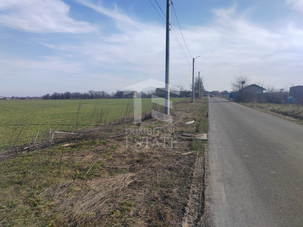 Cernica Tanganu super pret rezidential sau depozitare