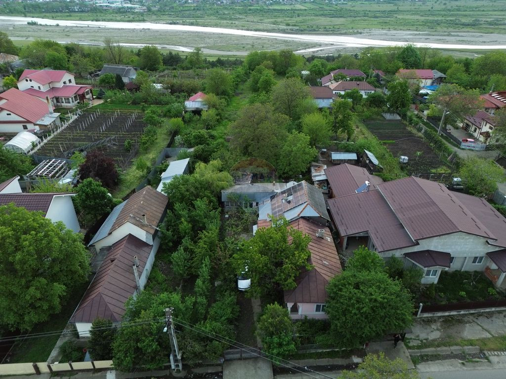 Casă cu teren Tifesti / Sarbi