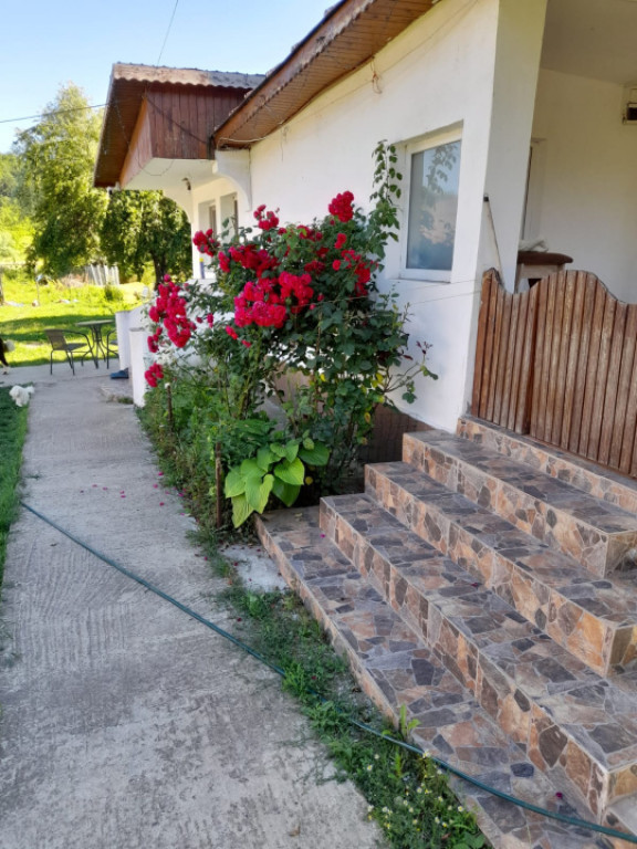 Casă renovată complet, 1800 mp teren, zonă liniștită î