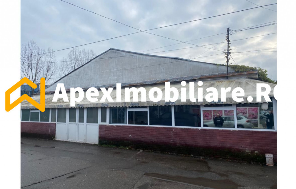 Hale Industriale de Vânzare Baicoi – 1100 mp + 800 mp, te