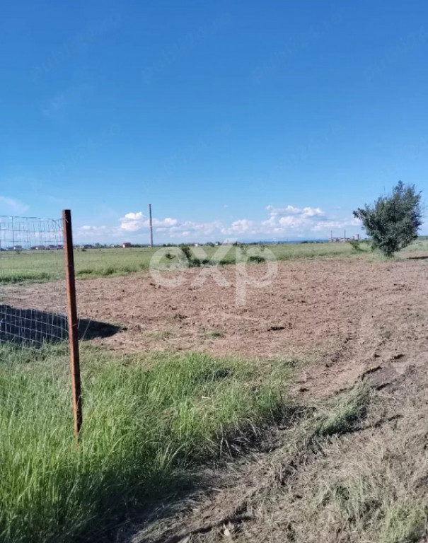 Teren de vânzare – Bradu, Argeș | 303 mp | 7.500 €