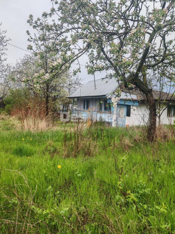 Teren intravilan in suprafata de 3160 mp, Puscasi, Poiana lu