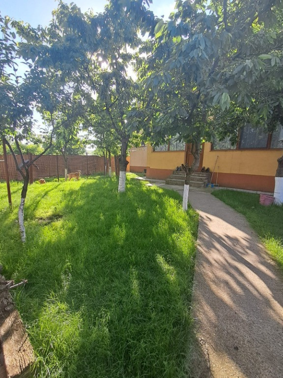 Casă P+1, compusă din 2 apartamente (intabulate separat) teren 1216 mp