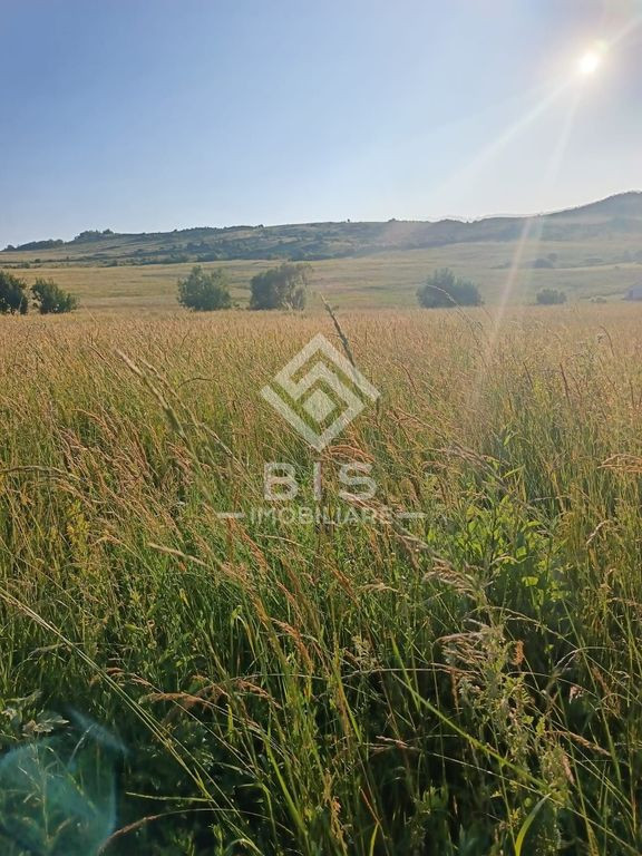 Teren 53 ari în Galații Bistriței -10.000 euro (188/ar)