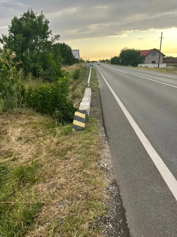 Vand teren 3800 de metri pătrați in Albești, Dolj