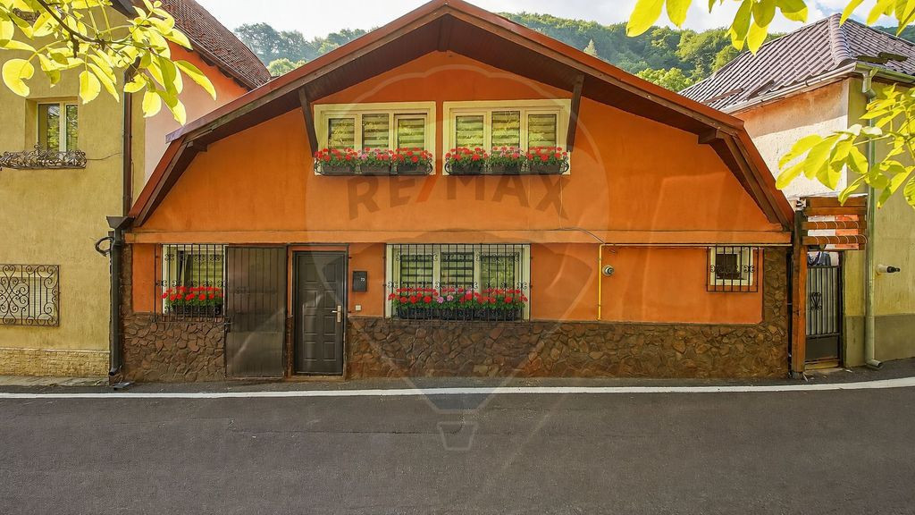 TRAIESTE LA POALELE PADURII!CASA 3 CAMERE APROAPE DE PTR....