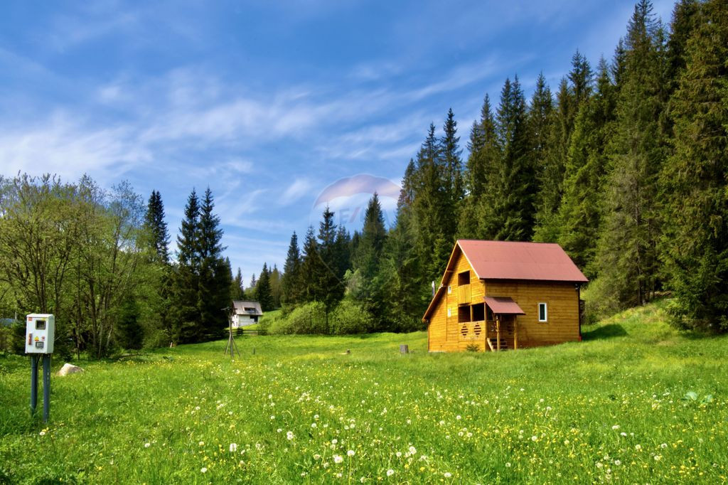 Casa cu 2 camere si teren 4887mp de vanzare in Dabaca