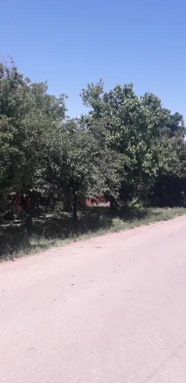 Vand casa locuibila Izvoarele