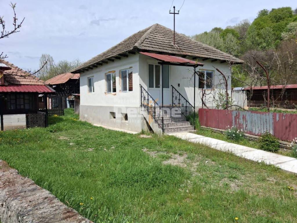 Casă renovată complet, 3068 mp teren, lângă Mănăstirea
