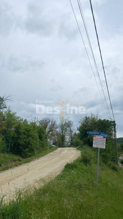Pădure de vânzare – 17 ha – valea mare, comuna Bailesti