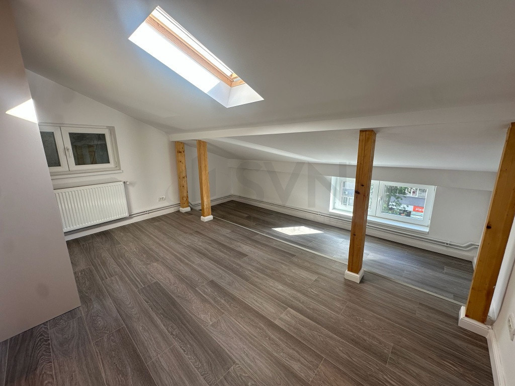 Aparment 4 camere I In vila I Ion Mihalache