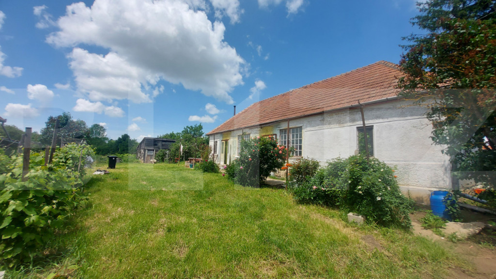 Casă solidă, teren de 2.800 mp cu livada - Aninoasa