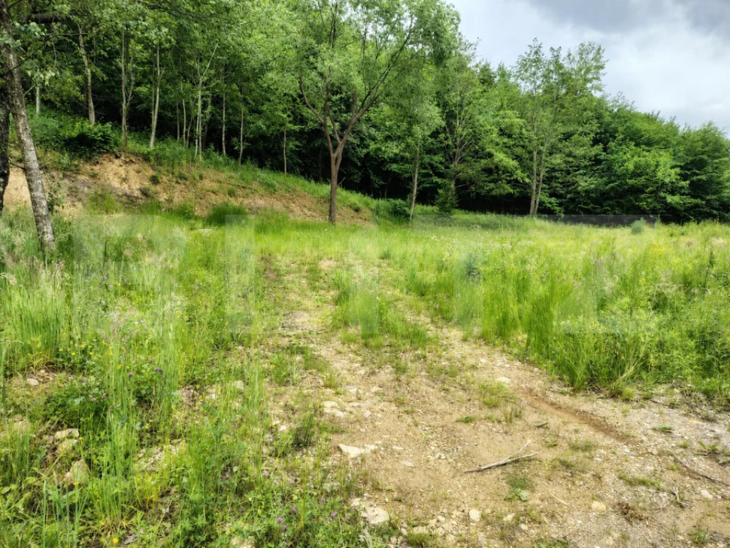 Teren zona de munte 1800 mp, cu apa de izvor, la Somesu Rece