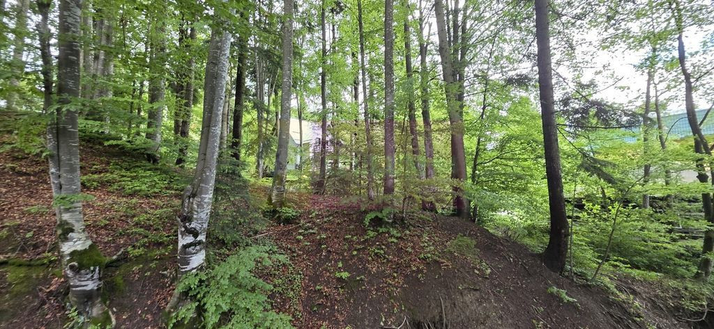 Teren intravilan 720 mp Sinaia